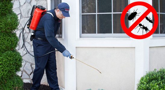 Gökçeada Karınca İlaçlama böcek ilaçlama ve haşere kontrolü — ilaclama-tr.com